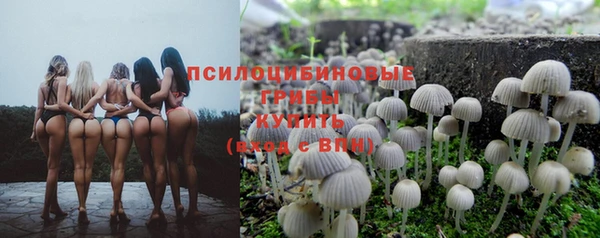 сатива Протвино