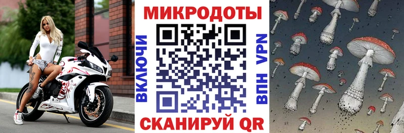 hydra   Покровск  Псилоцибиновые грибы Cubensis 