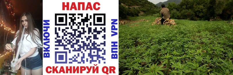 наркотики  Покровск  Бошки Шишки LSD WEED 